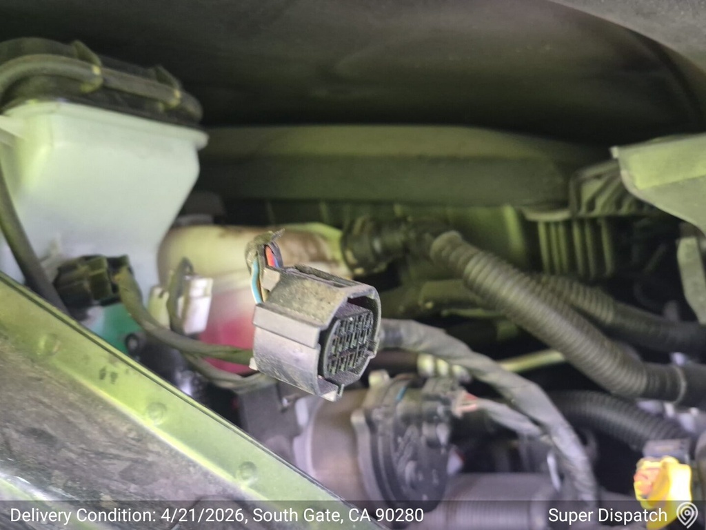 image_19 (1).JPEG