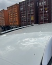 image_33.JPEG