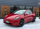 Tesla Model Y Performance
